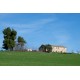 Search_FARMHOUSE TO BE RESTRUCTURED FOR SALE AT FERMO in the Marche in Italy in Le Marche_18